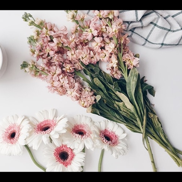 Meet your Posher, Patchouliii - Picture 2 of 3